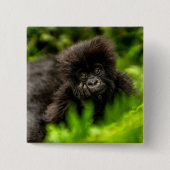 Kutest Baby Animals | Baby Mountain Gorilla Vierkante Button 5,1 Cm (Voorkant)