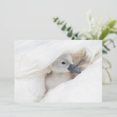 Kutest Baby Animals | Baby Mute Swan Bedankkaart (Staand voorkant)