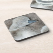 Kutest Baby Animals | Baby Mute Swan Bier Onderzetter (Linkerzijde)
