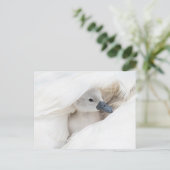Kutest Baby Animals | Baby Mute Swan Briefkaart (Staand voorkant)