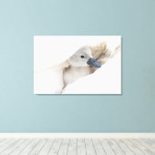 Kutest Baby Animals | Baby Mute Swan Canvas Afdruk (Insitu (Houten vloer))