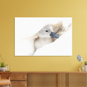 Kutest Baby Animals | Baby Mute Swan Canvas Afdruk (Insitu (Woonkamer))