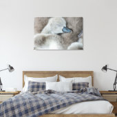 Kutest Baby Animals | Baby Mute Swan Canvas Afdruk (Insitu (Slaapkamer))