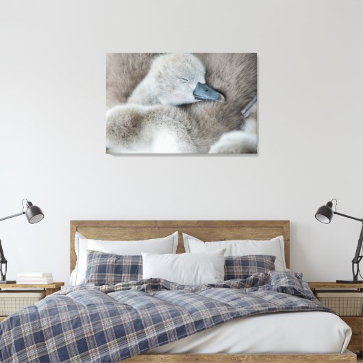 Kutest Baby Animals | Baby Mute Swan Canvas Afdruk (Insitu (Slaapkamer))