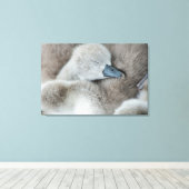 Kutest Baby Animals | Baby Mute Swan Canvas Afdruk (Insitu (Houten vloer))