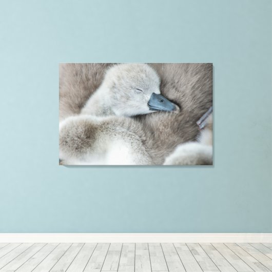 Kutest Baby Animals | Baby Mute Swan Canvas Afdruk (Insitu (Houten vloer))
