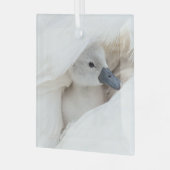 Kutest Baby Animals | Baby Mute Swan Glas Ornament (Voorkant links)