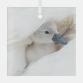 Kutest Baby Animals | Baby Mute Swan Glas Ornament (Voorkant)