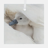 Kutest Baby Animals | Baby Mute Swan Glas Ornament (Achterkant)
