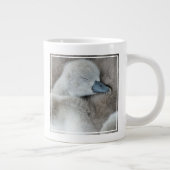 Kutest Baby Animals | Baby Mute Swan Grote Koffiekop (Rechts)