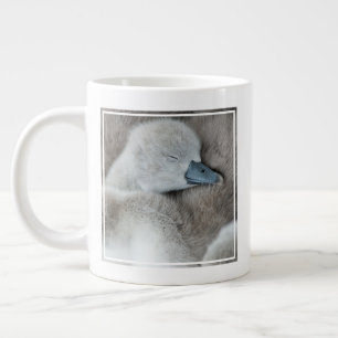 Kutest Baby Animals Baby Mute Swan Grote Koffiekop