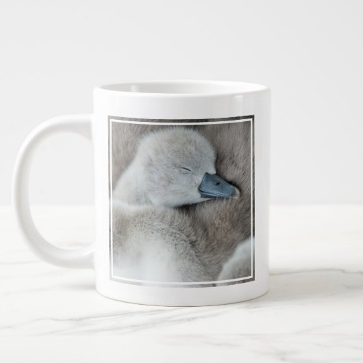 Kutest Baby Animals | Baby Mute Swan Grote Koffiekop (Links)
