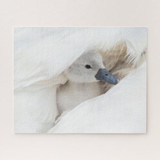 Kutest Baby Animals | Baby Mute Swan Legpuzzel (Horizontaal)