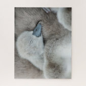 Kutest Baby Animals | Baby Mute Swan Legpuzzel (Verticaal)
