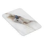 Kutest Baby Animals | Baby Mute Swan Magneet (Rechterzijde)