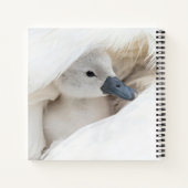 Kutest Baby Animals | Baby Mute Swan Notitieboek (Achterkant)