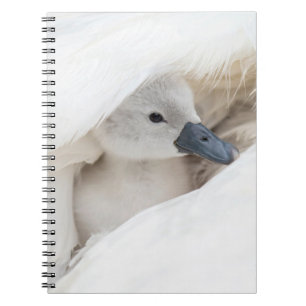 Kutest Baby Animals   Baby Mute Swan Notitieboek