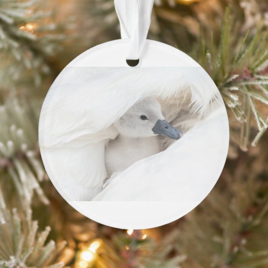 Kutest Baby Animals | Baby Mute Swan Ornament (Boom)