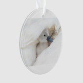 Kutest Baby Animals | Baby Mute Swan Ornament (voorkant)