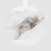 Kutest Baby Animals | Baby Mute Swan Ornament (achterkant)