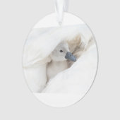 Kutest Baby Animals | Baby Mute Swan Ornament (voorkant)