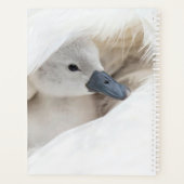 Kutest Baby Animals | Baby Mute Swan Planner (Achterkant)