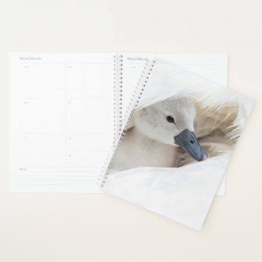 Kutest Baby Animals | Baby Mute Swan Planner (Display)