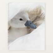 Kutest Baby Animals | Baby Mute Swan Planner (Voorkant)
