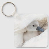 Kutest Baby Animals | Baby Mute Swan Sleutelhanger (Voorkant)