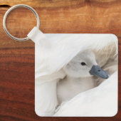 Kutest Baby Animals | Baby Mute Swan Sleutelhanger (Voorkant)