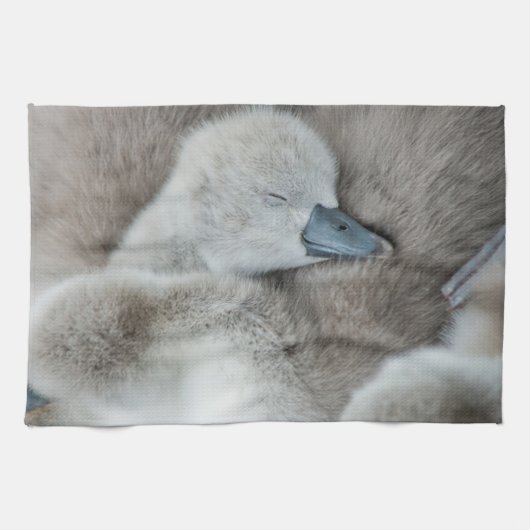 Kutest Baby Animals | Baby Mute Swan Theedoek (Horizontaal)