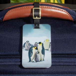 Kutest Baby Animals Baby pinguïn Bagagelabel