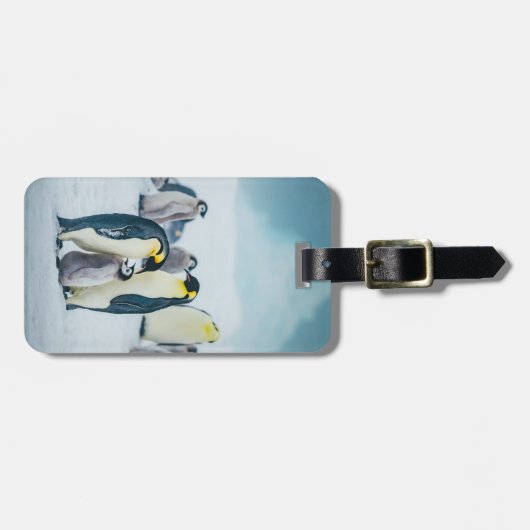 Kutest Baby Animals | Baby pinguïn Bagagelabel (Voorkant horizontaal)