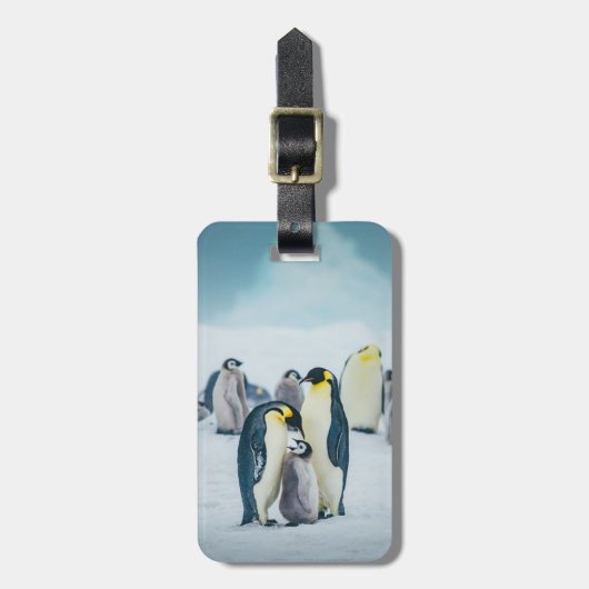 Kutest Baby Animals | Baby pinguïn Bagagelabel (Voorkant verticaal)