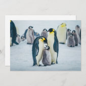 Kutest Baby Animals | Baby pinguïn Bedankkaart (Voorkant / Achterkant)