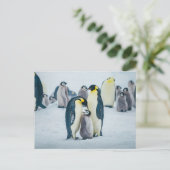 Kutest Baby Animals | Baby pinguïn Briefkaart (Staand voorkant)