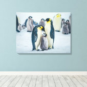 Kutest Baby Animals | Baby pinguïn Canvas Afdruk (Insitu (Houten vloer))