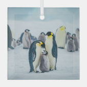 Kutest Baby Animals | Baby pinguïn Glas Ornament (Voorkant)