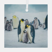 Kutest Baby Animals | Baby pinguïn Glas Ornament (Achterkant)