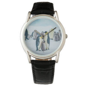Kutest Baby Animals   Baby pinguïn Horloge