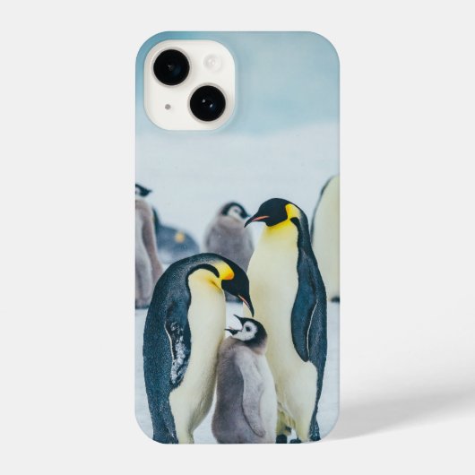 Kutest Baby Animals | Baby pinguïn iPhone Hoesje (Achterkant)