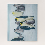 Kutest Baby Animals | Baby pinguïn Legpuzzel (Verticaal)