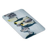 Kutest Baby Animals | Baby pinguïn Magneet (Rechterzijde)