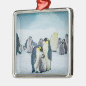 Kutest Baby Animals | Baby pinguïn Metalen Ornament (Links)