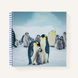 Kutest Baby Animals Baby pinguïn Notitieboek