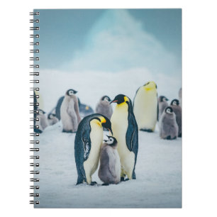 Kutest Baby Animals   Baby pinguïn Notitieboek