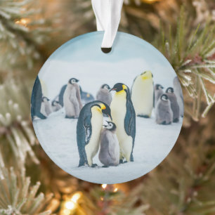 Kutest Baby Animals   Baby pinguïn Ornament