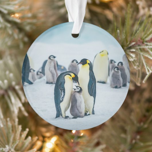 Kutest Baby Animals | Baby pinguïn Ornament (Boom)