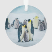 Kutest Baby Animals | Baby pinguïn Ornament (achterkant)