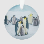 Kutest Baby Animals | Baby pinguïn Ornament (voorkant)